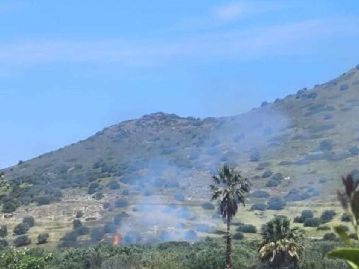 Φωτιά στο Θορικό Λαυρεωτικής – Επί τόπου η Πυροσβεστική