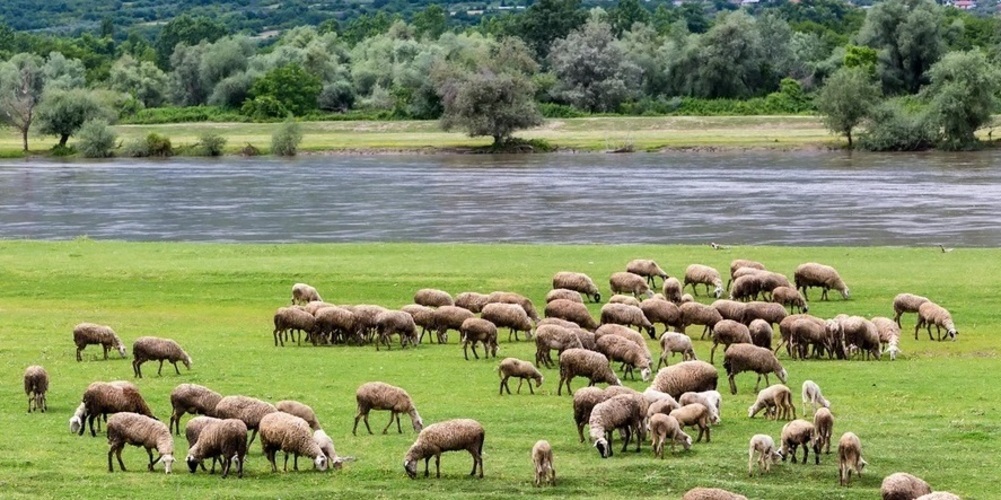 fotinias-tha-klapsi-oli-i-1