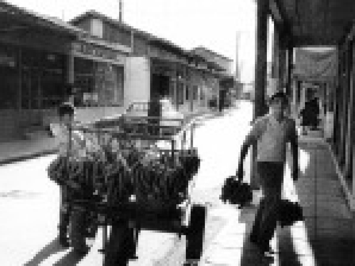 Φωτογραφίες του Fritz Berger από την παλιά Λευκάδα