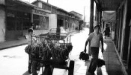 fotografies-tou-Fritz-Berger-apo