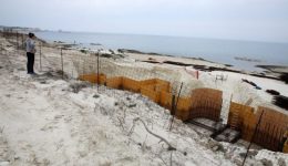 freno-apo-to-ste-stin