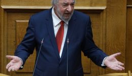 g.-nikitiadis-sti-vouli-pros