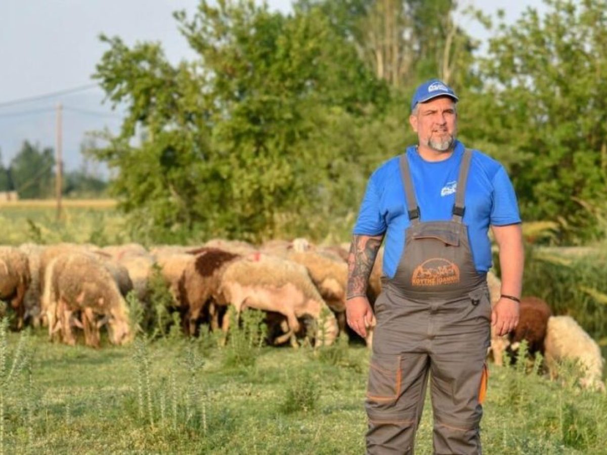 Γιάννης Κουτής: «Μας ξέχασαν στη λάσπη» – Αγωγές κατά υπουργών για τις αποζημιώσεις-πείνας