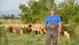 giannis-koutis-mas-xechasan-sti