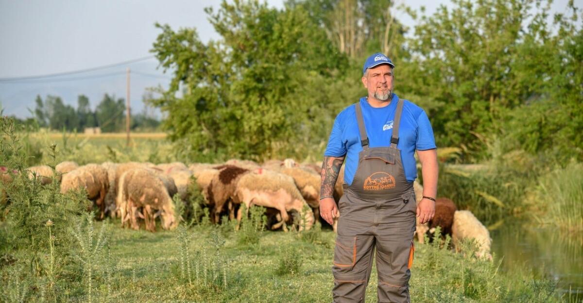 giannis-koutis-mas-xechasan-sti