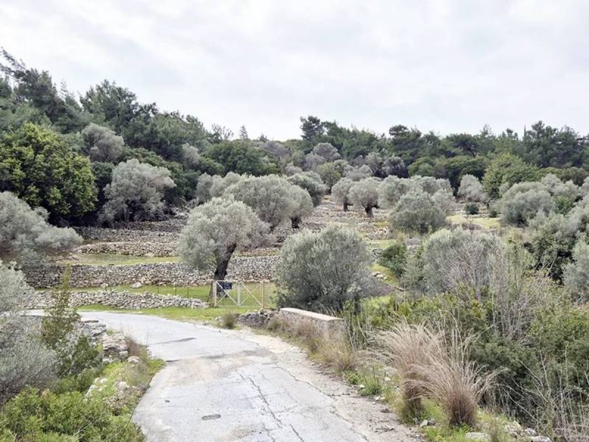 Γιάννης Πνευματικάκης: «Με την έγκριση του προϋπολογισμού ξεκινά άμεσα το νέο καταφύγιο αδέσποτων»