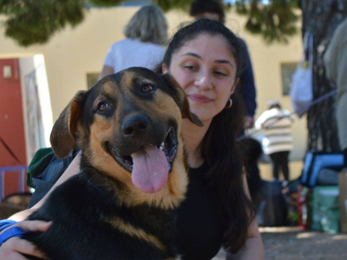 Γιορτή Υιοθεσίας Αδέσποτων: 15 σκυλάκια βρήκαν το νέο τους σπίτι
