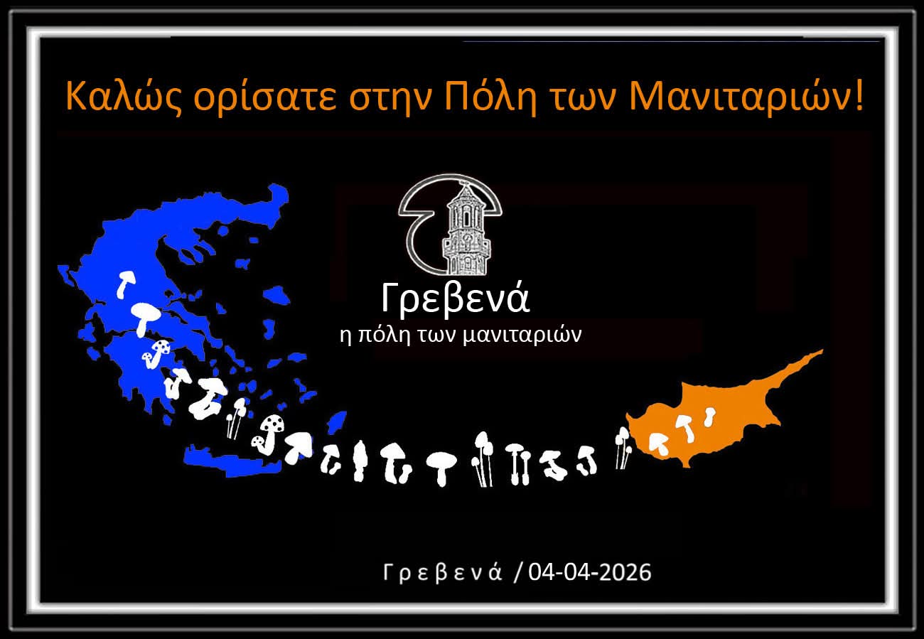 grevena-episkepsi-naftoproskopon-apo-tin