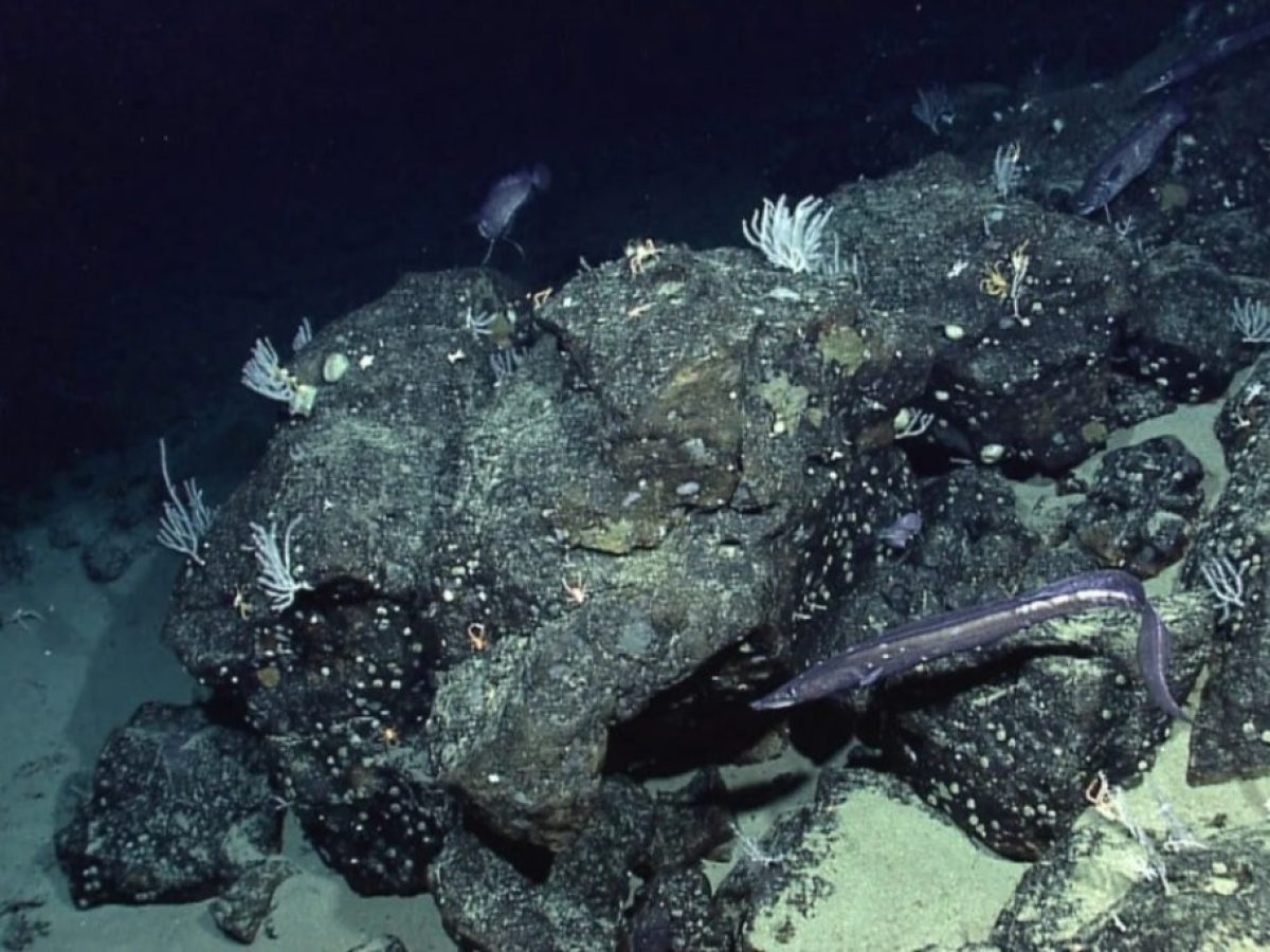 Η NASA χαρτογράφησε τον βυθό της Γης από το διάστημα και ανακάλυψε άγνωστα στοιχεία που αλλάζουν τα δεδομένα