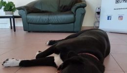 i-Rookie-tou-chronou-ke