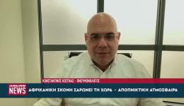 i-afrikaniki-skoni-saroni-ti-1