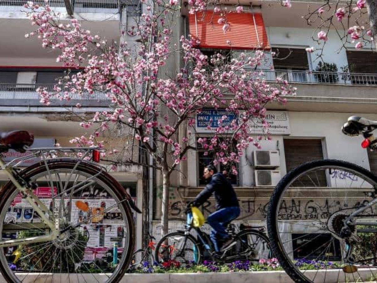 Η Λάρισα «ανθίζει»: 5 προτάσεις για να απολαύσετε την πόλη αυτή την εβδομάδα