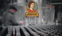 i-limnos-apektise-ti-diki