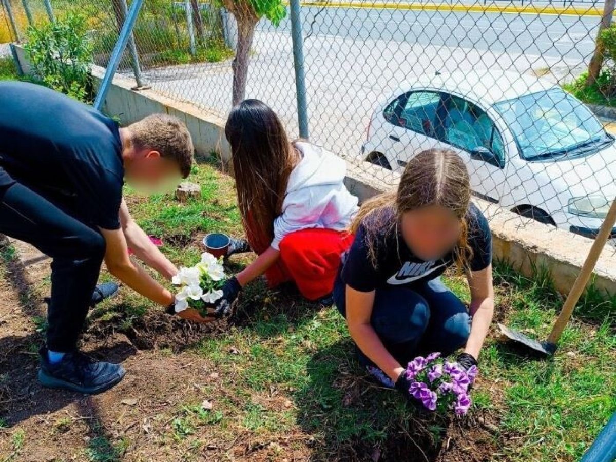 Οι μαθητές του 1ου Γυμνασίου Παλλήνης φύτεψαν και γέμισαν το σχολείο τους με χρώματα και αρώματα!