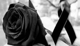 i-rigani-Αgriniou-thrini-to