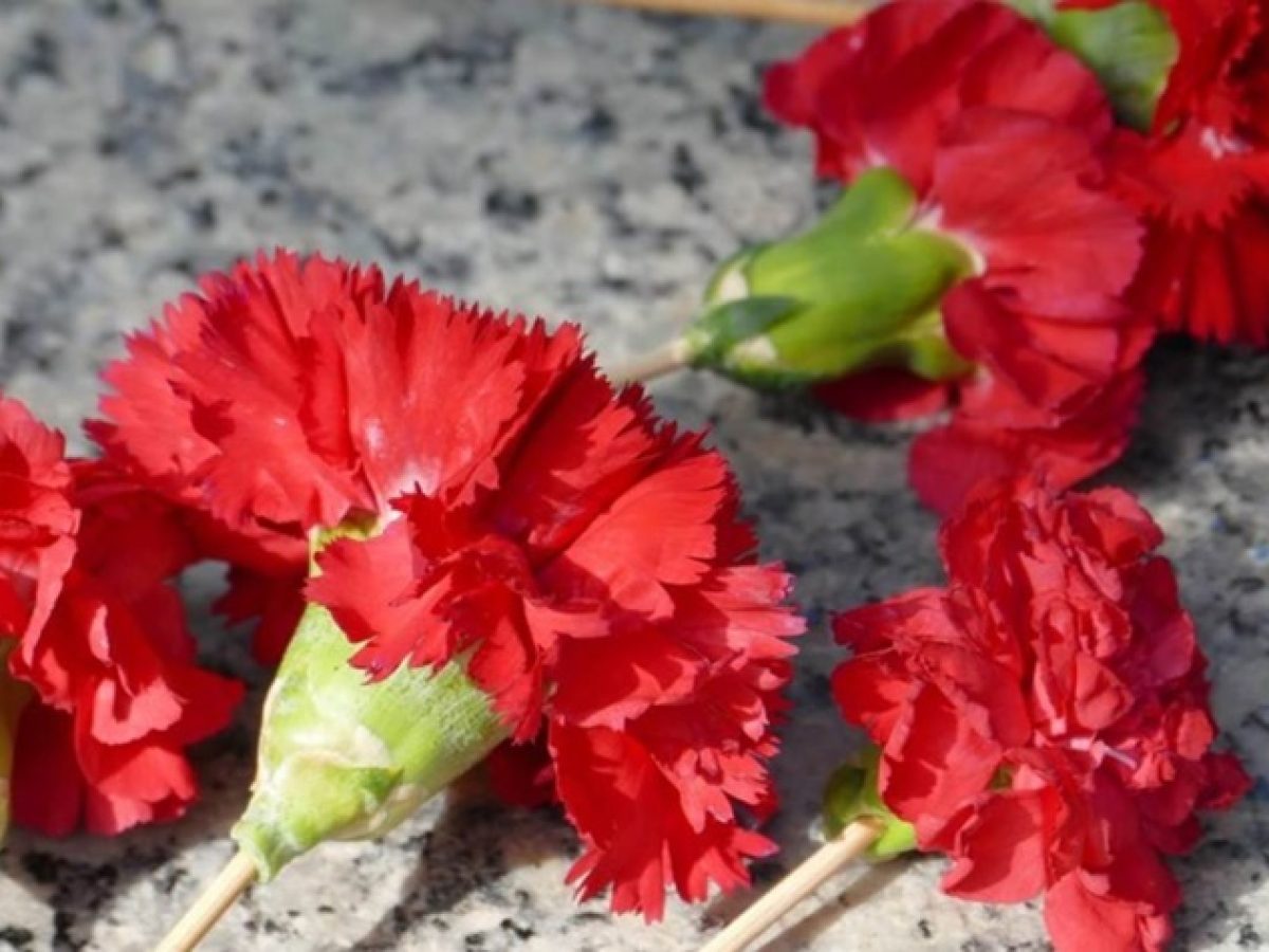 Η τόλμη και το ρίσκο