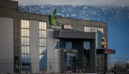 i-violanta-zita-apo-tin