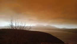 i-Αfrikaniki-skoni-skepase-ti-1