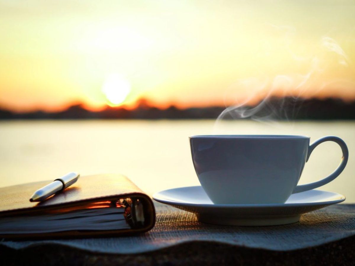 Η Ανοιχτή Βεντάλια στην Παραλία Επανομής (Ελεύθερη Γραφή)