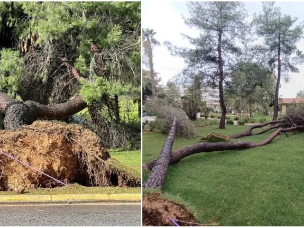 Εικόνες από τις καταστροφές που άφησαν πίσω τους οι θυελλώδεις άνεμοι, σε Βούλα και Βουλιαγμένη