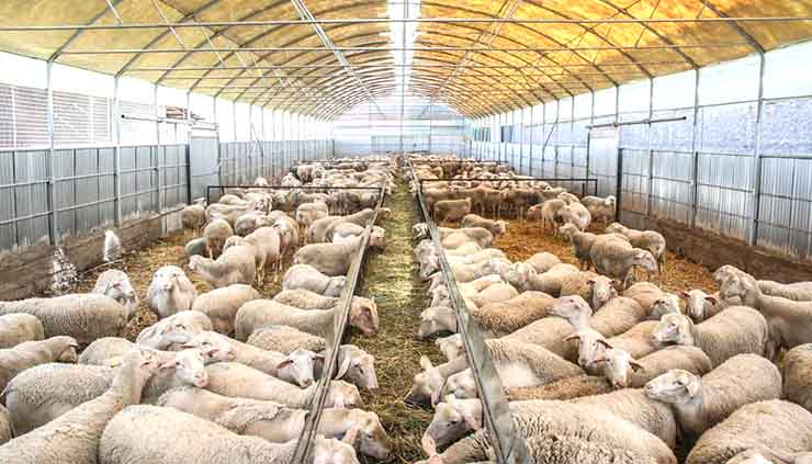 ikonomiki-Αnasa-39-ekat.-evro