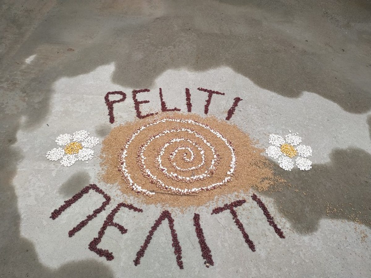 Είκοσι έξι χρόνια Πελίτι – Είκοσι έξι χρόνια γιορτάζουν οι σπόροι