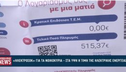 ilektrosok-gia-ta-nikokiria-&ndash;-3