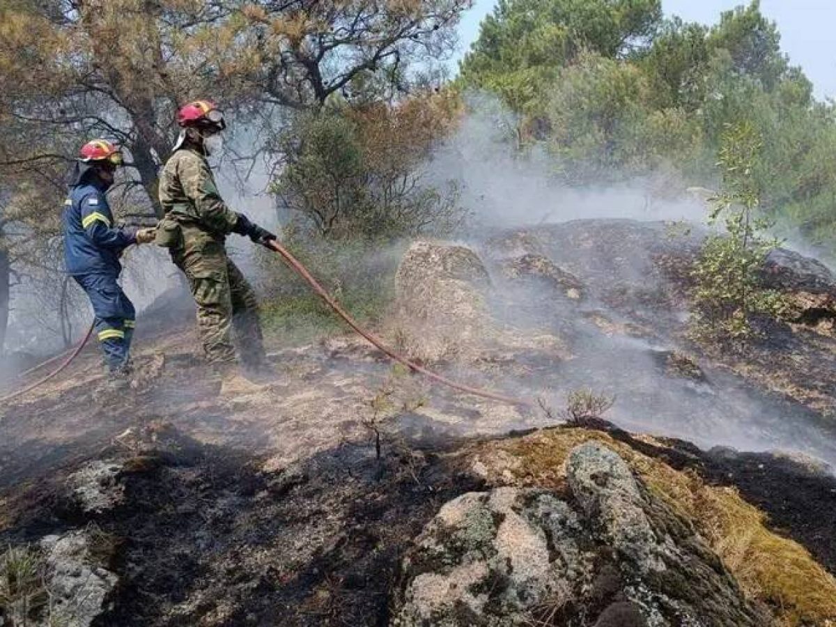 Υπό έλεγχο η φωτιά στο Αίγιο – Μία σύλληψη