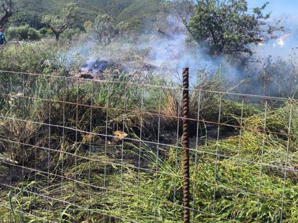 Υπό έλεγχο η πυρκαγιά στην περιοχή του Άνω Πλατανίτη Ναυπάκτου