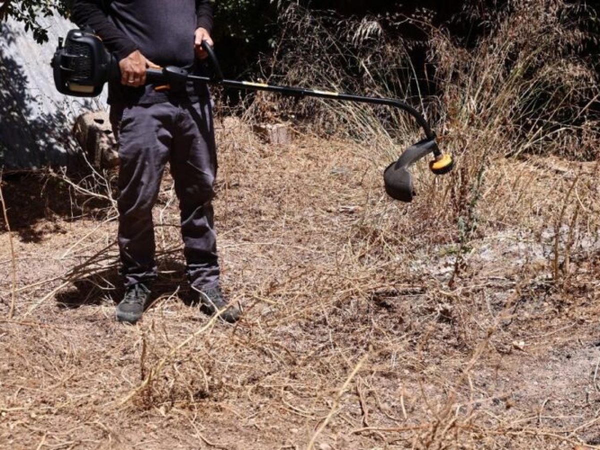Υποχρεωτική η  δήλωση και ο  καθαρισμός οικοπέδων από 1η Απριλίου έως 15 Ιουνίου 2026  