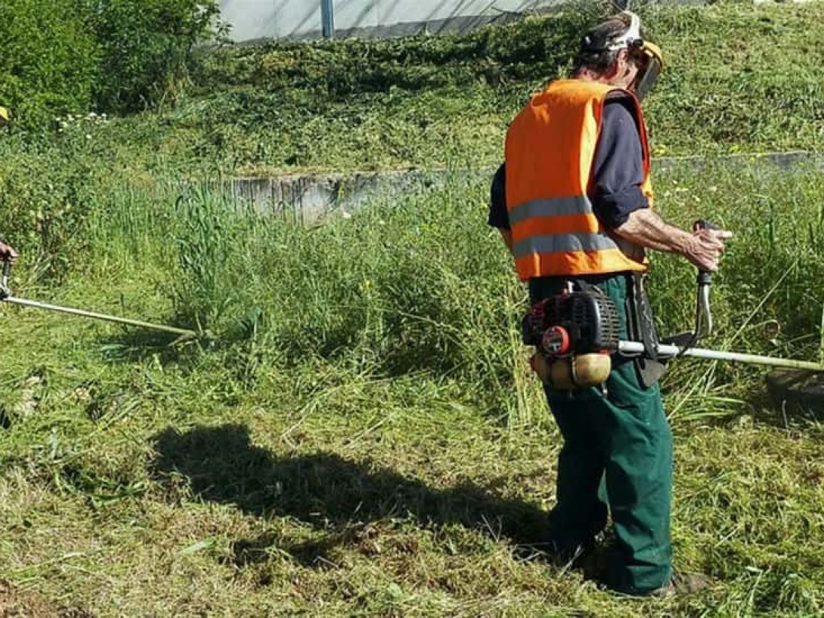 Υποχρεωτικός καθαρισμός οικοπέδων έως 15 Ιουνίου-Για πληροφορίες οι κάτοικοι της Καλύμνου στον Εθελοντικό Πυροσβεστικό Σταθμό Β´Τάξης Καλύμνου.  