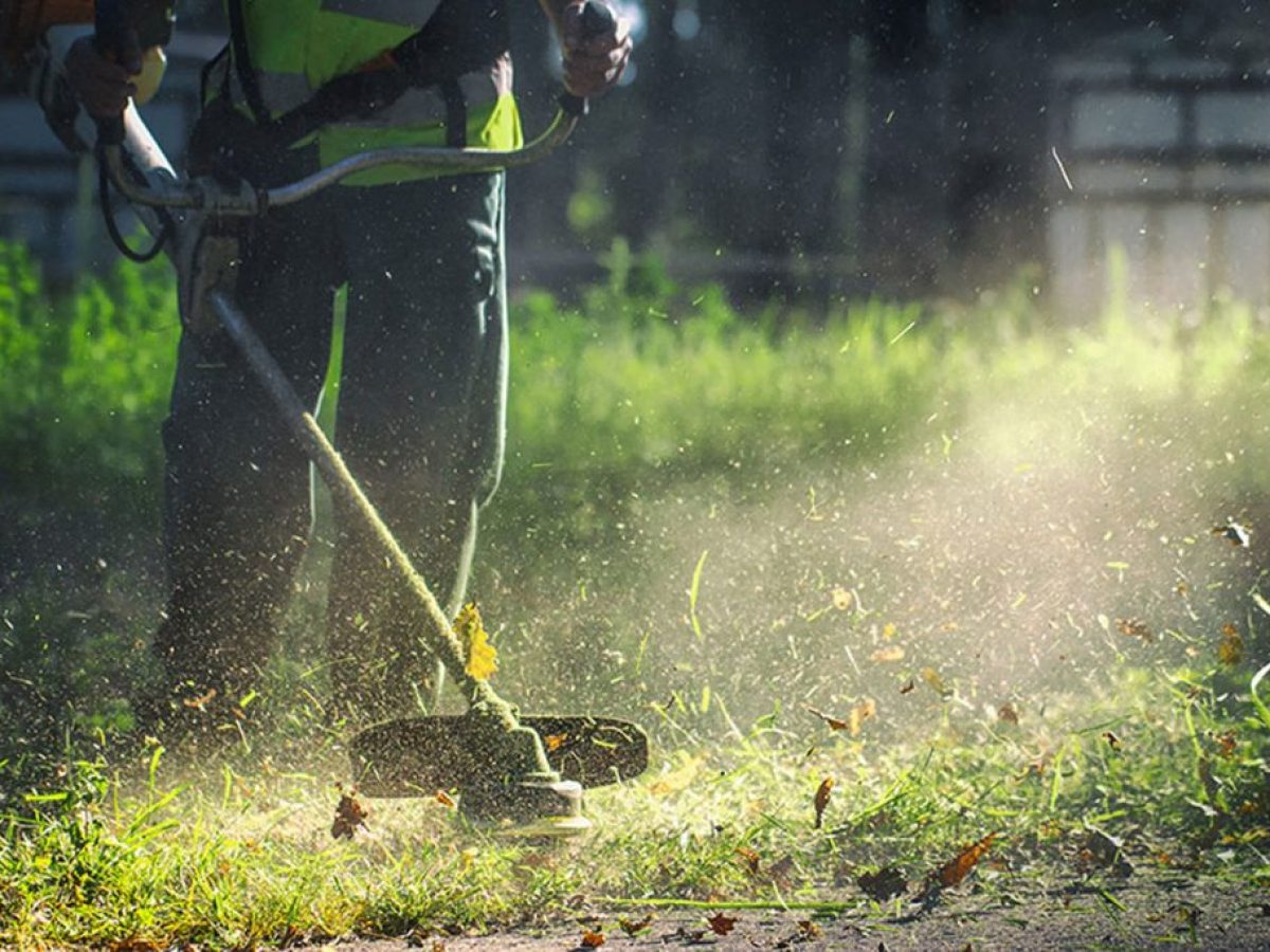 Υποχρεωτικός καθαρισμός οικοπέδων και υποβολή δήλωσης καθαρισμού από τους ιδιοκτήτες ενόψει της αντιπυρικής περιόδου 2026