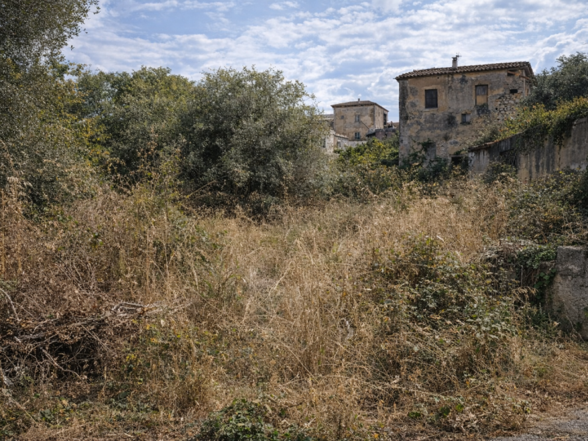 Υποχρεωτικός καθαρισμός οικοπέδων στη Λευκάδα έως 15 Ιουνίου – Πρόστιμα έως 2.000€ για παραβάτες