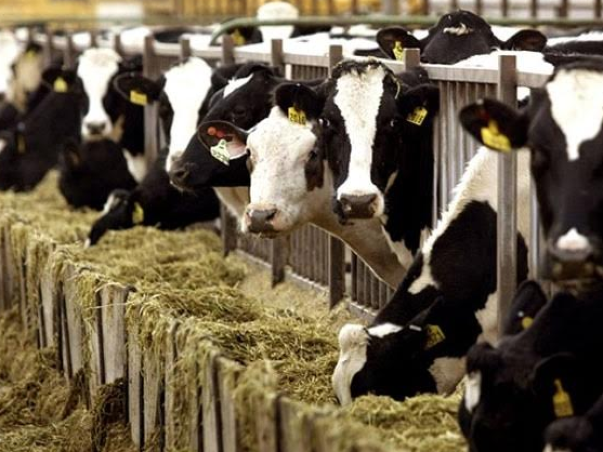 ΥΠΑΑΤ: Ευρωπαϊκή συνδρομή στην Ελλάδα για την αντιμετώπιση του αφθώδους πυρετού