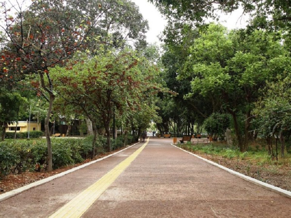 Ηράκλειο: Ενισχύεται με χιλιάδες δέντρα και φυτά το αστικό πράσινο του δήμου