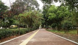 iraklio-enischiete-me-chiliades-dentra