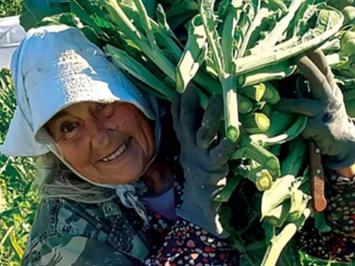 Ίρια Ναυπλίου: Μια γιορτή αφιερωμένη στην αγρότισσα, την αγκινάρα και την τοπική παράδοση