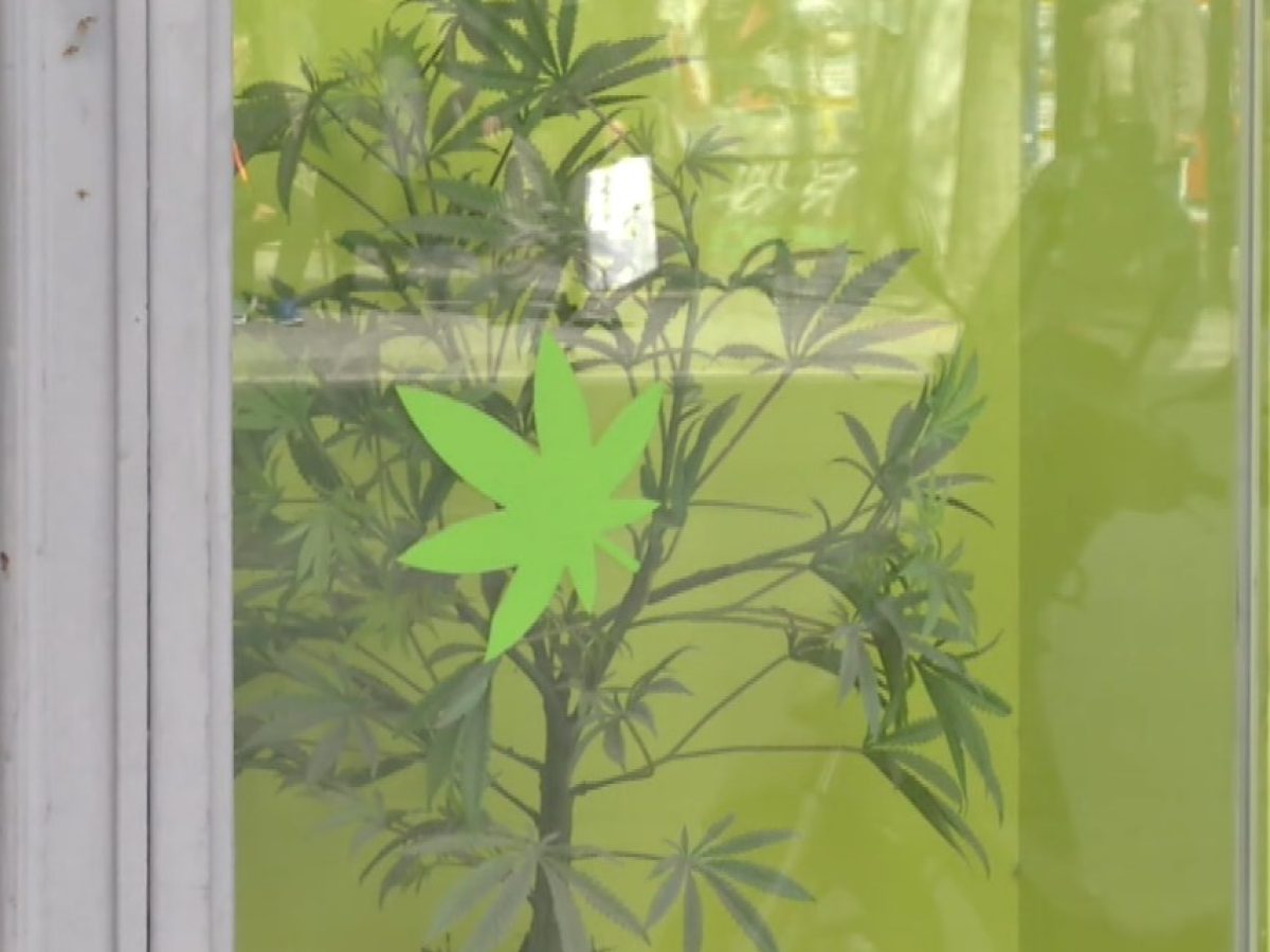 Εισαγγελική παρέμβαση για τους αυτόματους πωλητές προϊόντων κάνναβης