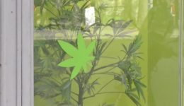 isangeliki-paremvasi-gia-tous-aftomatous-1