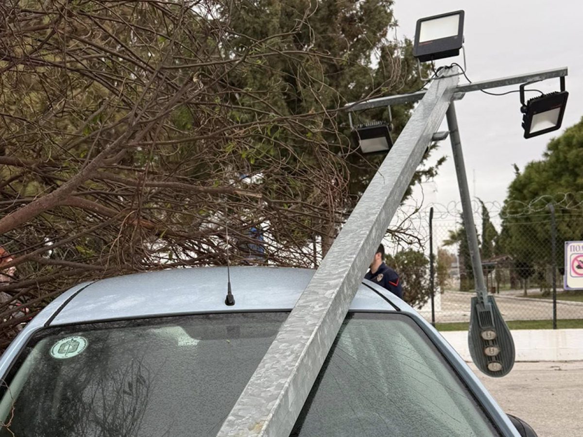 Κακοκαιρία «Erminio»: Σε red code τα Δωδεκάνησα – Προβλήματα στη Ρόδο κολώνα κόπηκε από τη βάση της και έπεσε σε όχημα ξεριζώθηκαν δέντρα