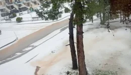 kakokeria-Erminio-sfodra-fenomena-sti