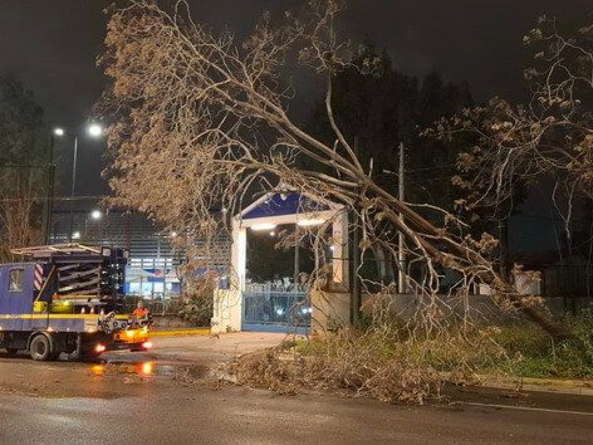 Κακοκαιρία: Διεκόπη η κυκλοφορία στην Πειραιώς λόγω πτώσης δέντρου (εικόνες)