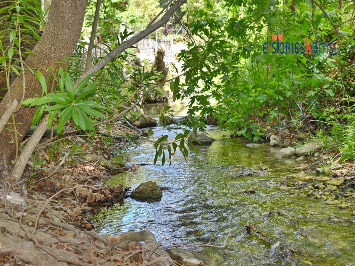 Καλαμαύκα: Τα «Μετέωρα» της Κρήτης αναγεννιούνται – Οι 40 πηγές «ξύπνησαν» ξανά – Εντυπωσιακές εικόνες