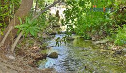 kalamafka-ta-meteora-tis-kritis