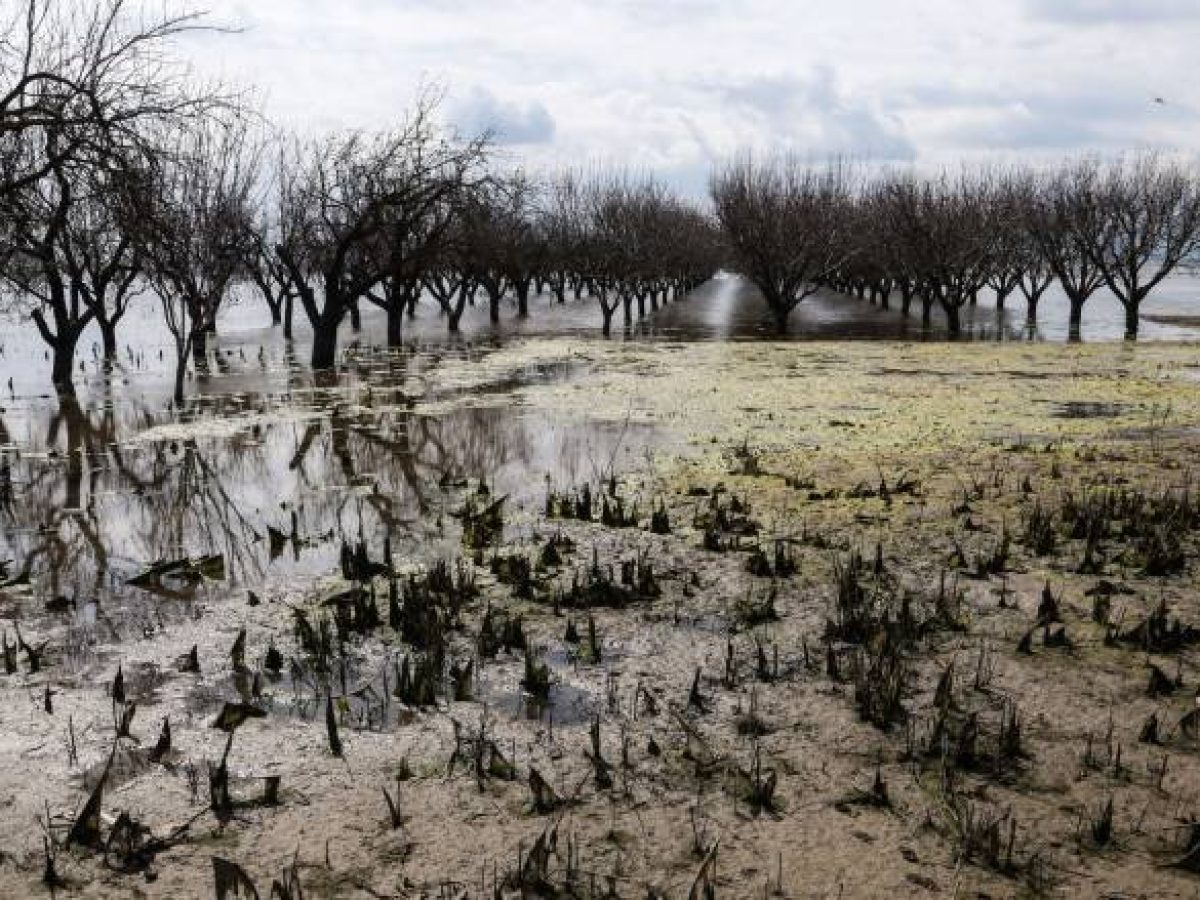 Καλλιέργειες μπλοκαρισμένες από λάσπη και υψηλές τιμές