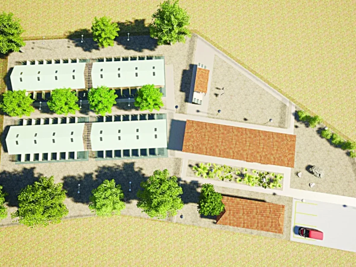 Καταφύγιο αδέσποτων στην Αιγιάλεια: Eνα βήμα πριν τη σύμβαση, απέκτησε ανάδοχο