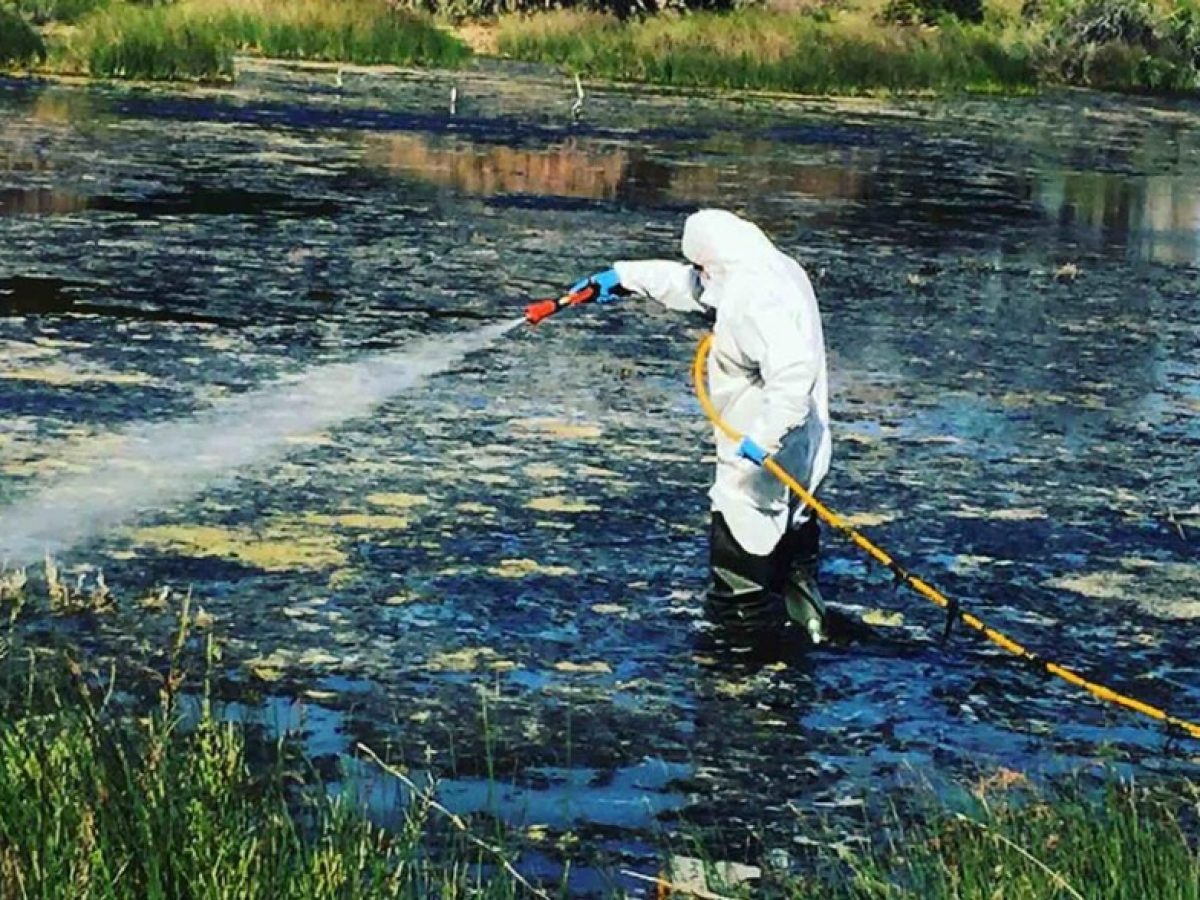 Καταπολέμηση κουνουπιών σε Ραφήνα Πικέρμι και σε άλλους δήμους της Ανατολικής Αττικής- 4ος Κύκλος