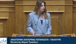 katerina-papakosta-sti-vouli-oudepote