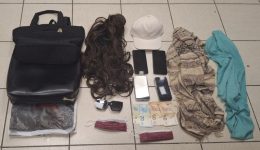 katerini-sinelifthisan-4-meli-egklimatikis