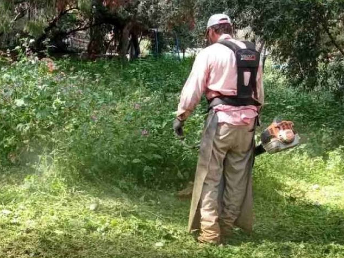 Καθαρισμοί ιδιωτικών οικοπέδων: Η ενημέρωση του Δήμου